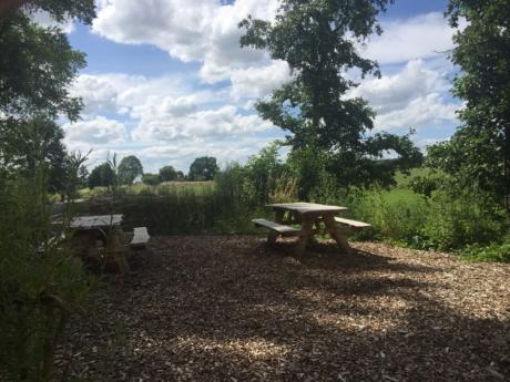 picknick Paillartcamp