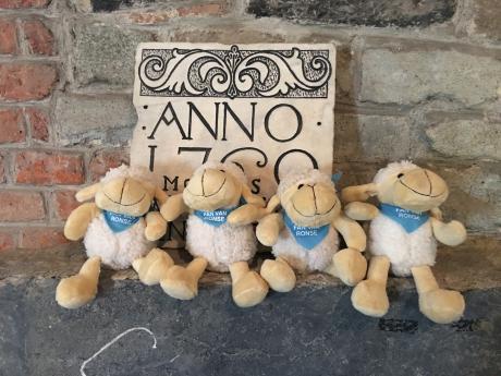 Schaapje Fan van Ronse