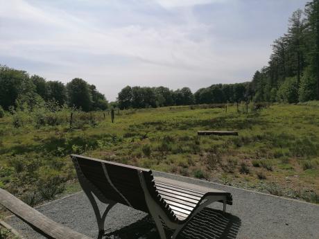 Geuzentorenpad