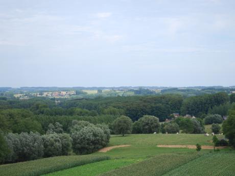 Hotondbos
