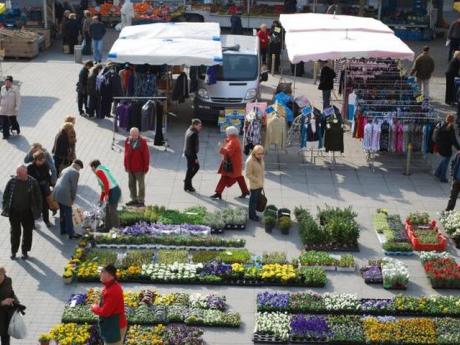 markt Ronse