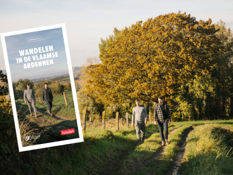 Wandelen in de Vlaamse Ardennen