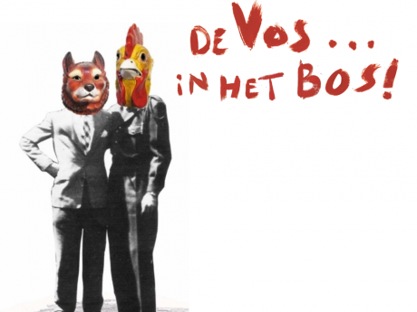 vos in het bos