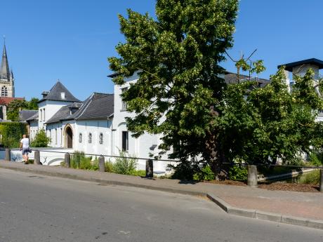 Hoge Mote - Belevingscentrum