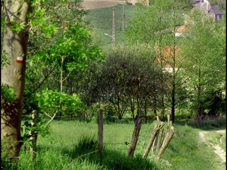 natuur