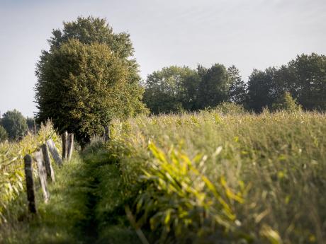 Vlaamse Ardennen