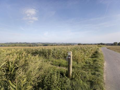 landschap