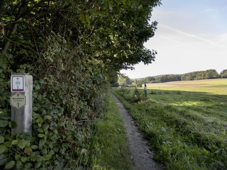 Muziekbosroute