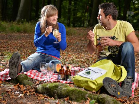 picknicken