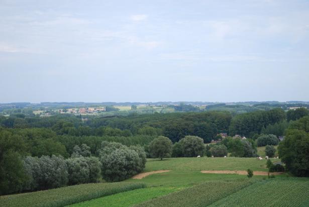 Hotond