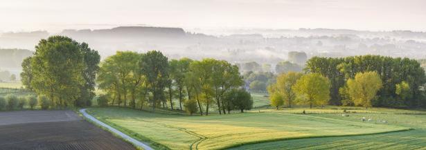 Vlaamse Ardennen