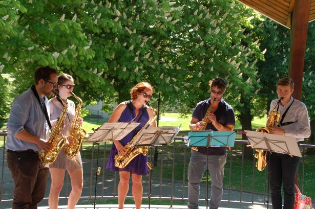 Ronse muzikaal