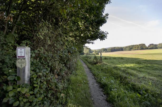 Muziekbosroute